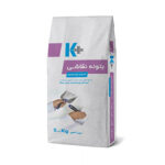 بتونه نقاشی